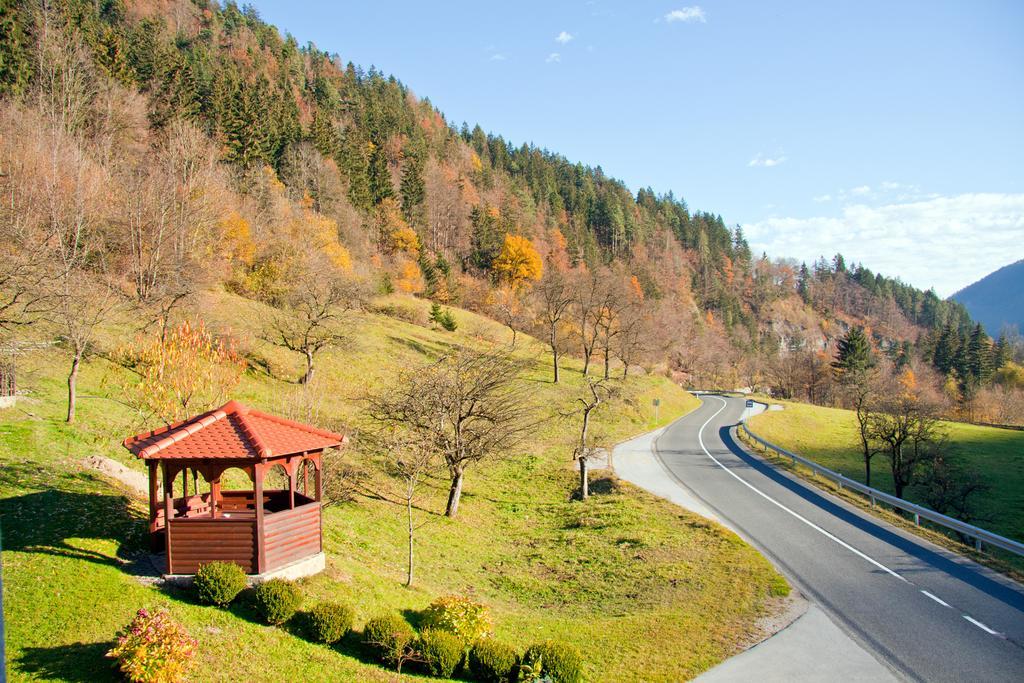 Farm Stay Bukovje Ljubno Exteriör bild