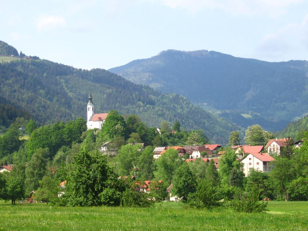 Farm Stay Bukovje Ljubno Exteriör bild