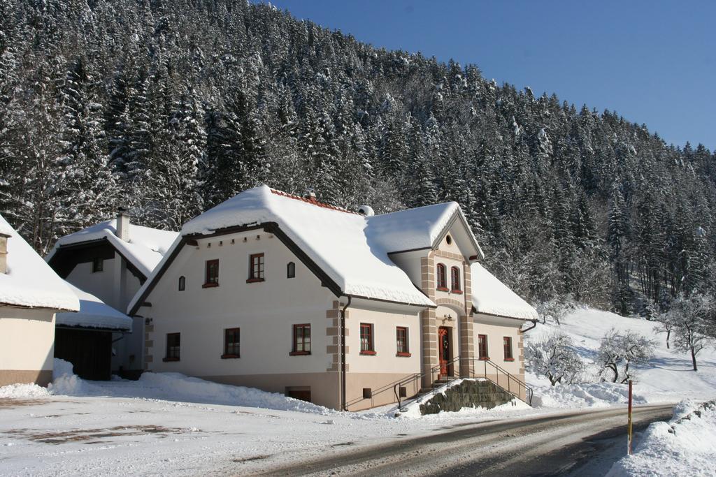 Farm Stay Bukovje Ljubno Exteriör bild